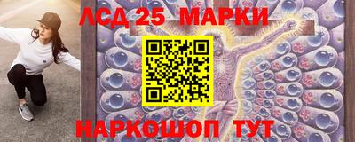 СК Можга