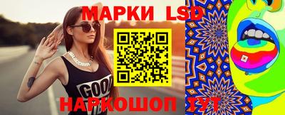 СК Можга