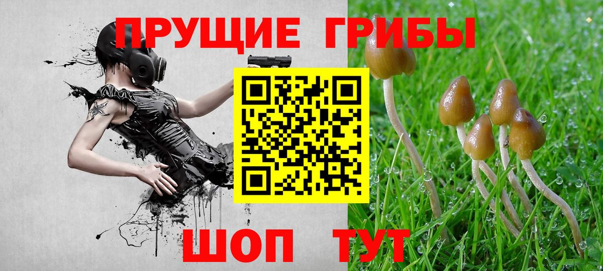 Удомля  Псилоцибиновые грибы MAGIC MUSHROOMS  Вход с VPN 
