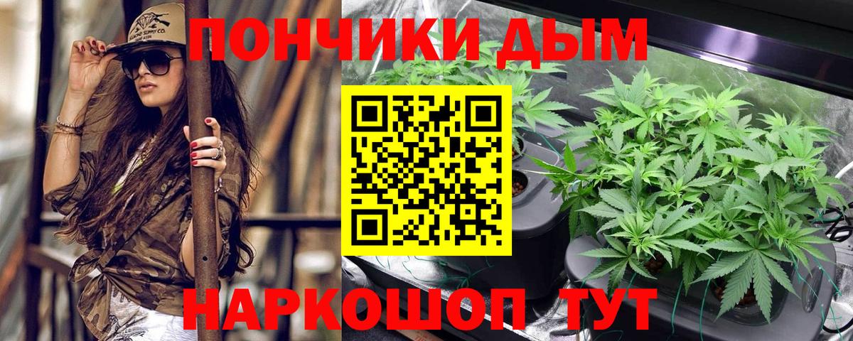 Бошки марихуана план  Канабис гибрид  Вход с VPN  Каннабис LSD WEED  Удомля  Марихуана White Widow 